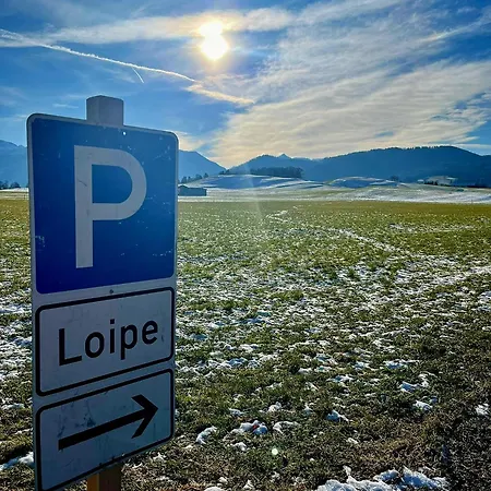 Seelig Apartament
